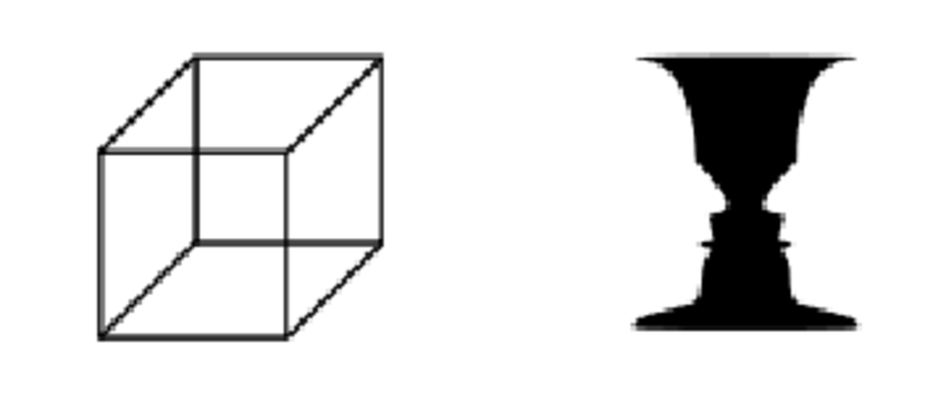 850x354 Necker Cube And Facevase Illusion Can Be Perceived In Terms