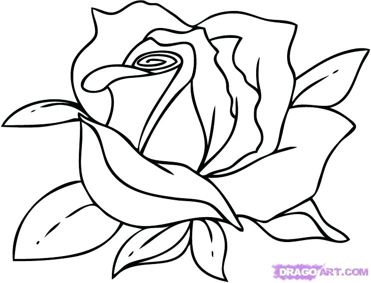 743x567 Flower Vase Colour Pencil Drawing Sketches Of Flowers Drawings