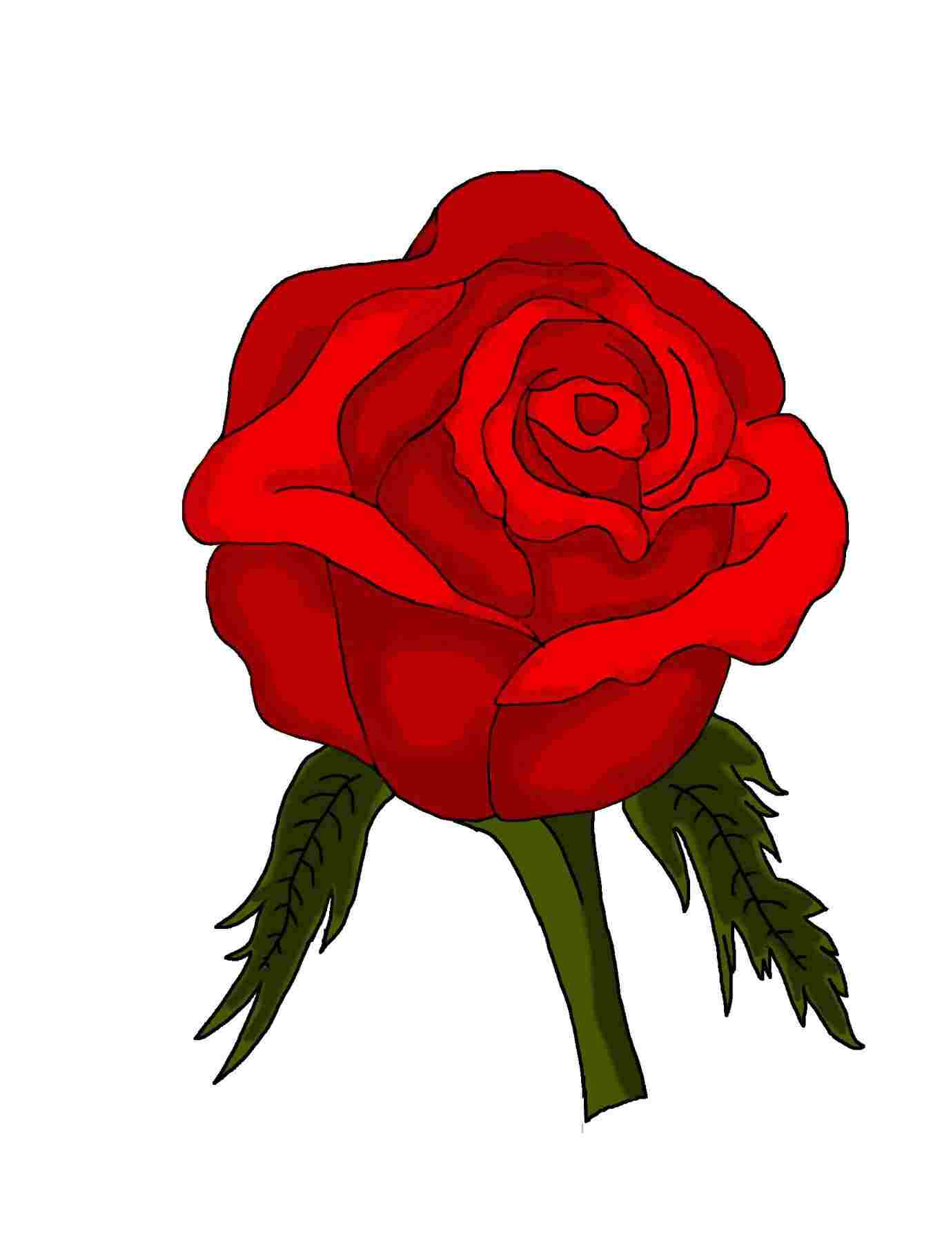 1365x1820 Rhdrawingpencom Vase Roses Drawn In Pencil Sketch Roses Flowers