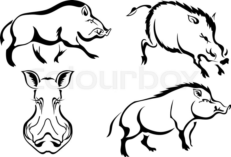 800x546 Set Of Black Vector Images Of Wild Stock Vector Colourbox