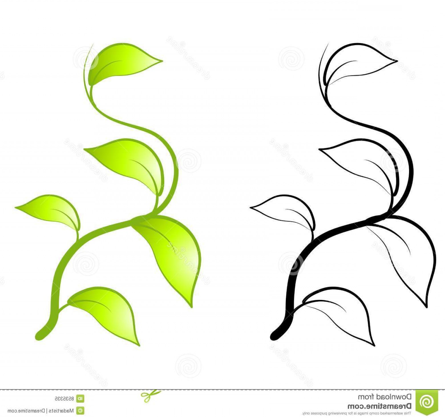 1560x1473 Vector Vine Tattoo Art Hoodamathrun
