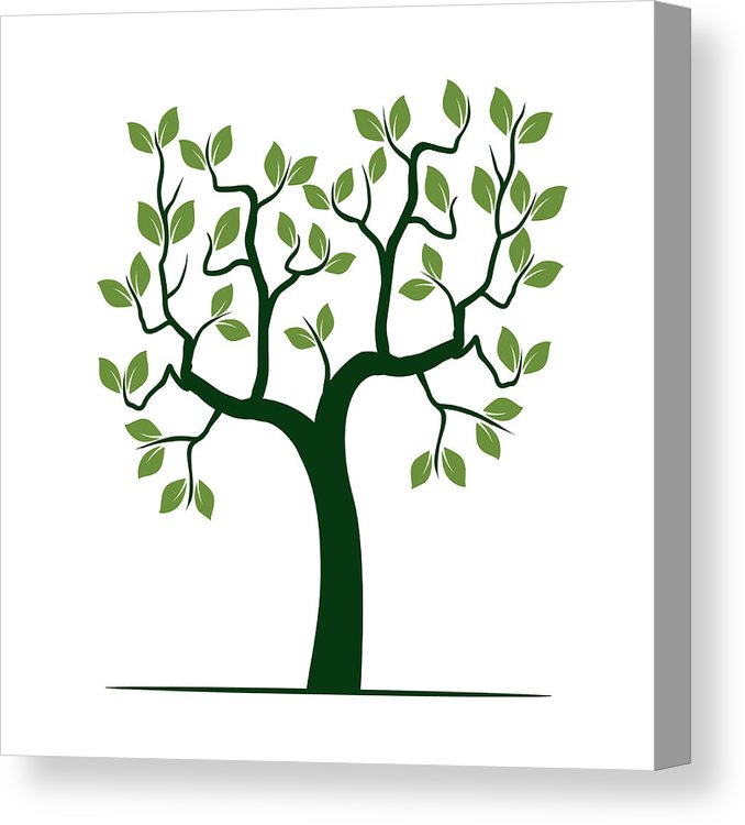 678x750 Green Vector Tree Canvas Print Canvas Art