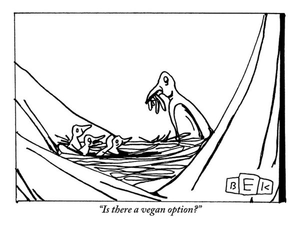 600x457 Vegan Drawings Fine Art America