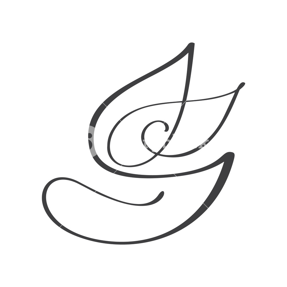 1000x1000 Vegan Green Leaf Nature Vector Logo Template Design Calligraphy