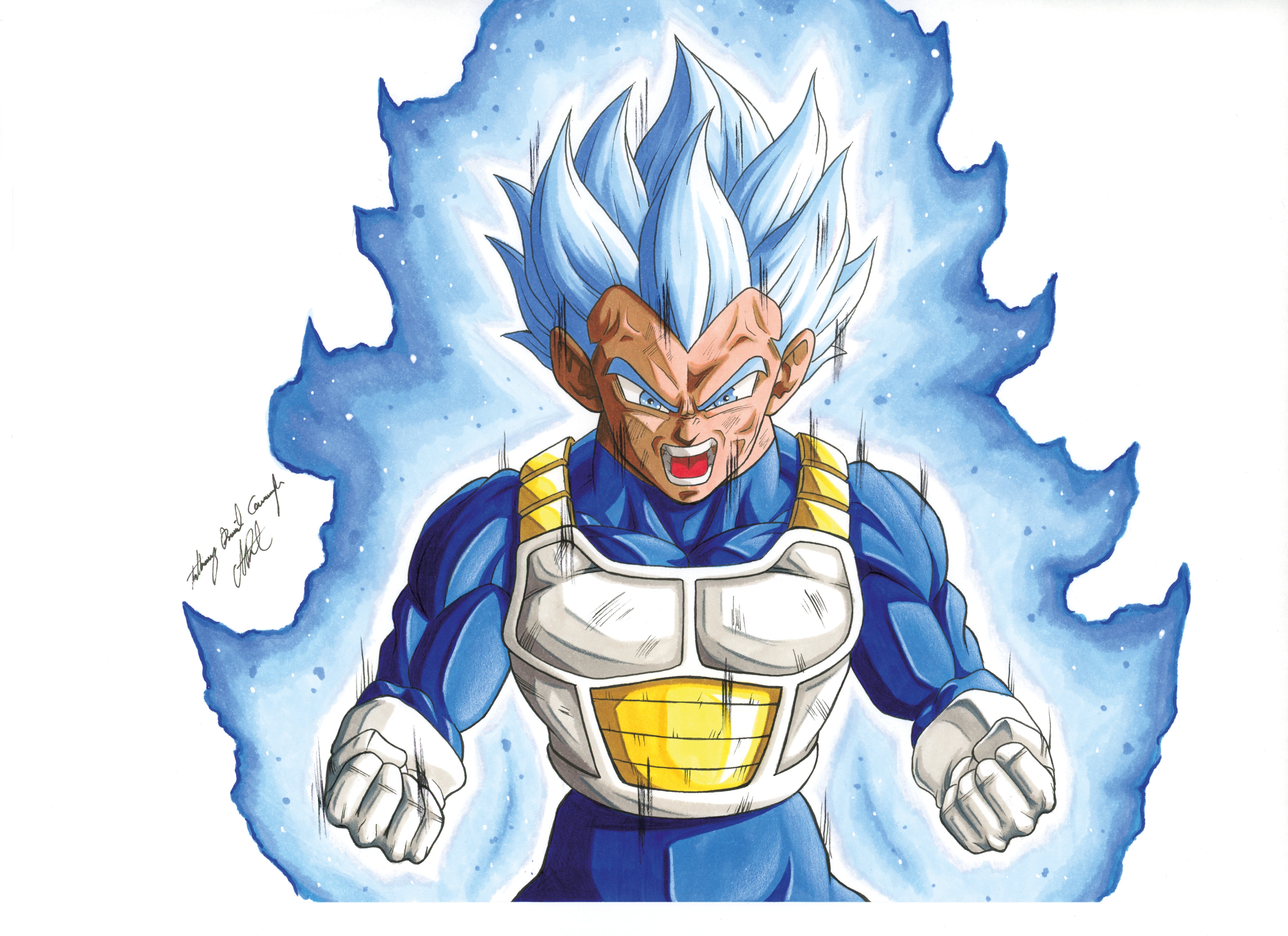 5264x3825 Vegeta Beyond