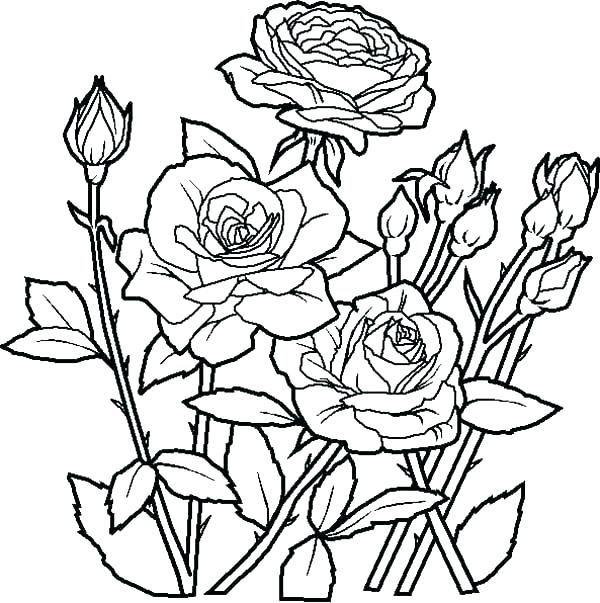 600x603 Gardening Coloring Pages For Preschool Trend Thumbnail Size