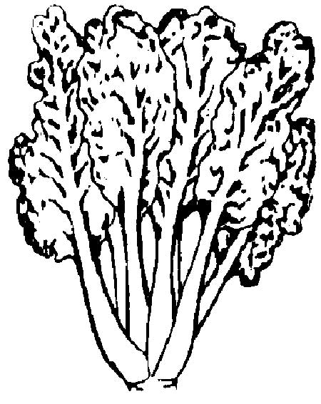 450x567 Chard, Swiss Mississippi State University Extension Service