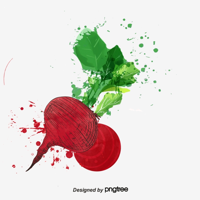 640x640 Drawing Cartoon Vegetables, Cartoon Vector, Cartoon, Watercolor