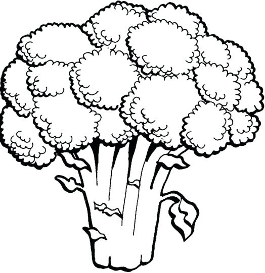 524x541 Vegetable Drawing For Kids Architects Near Merrick Ny