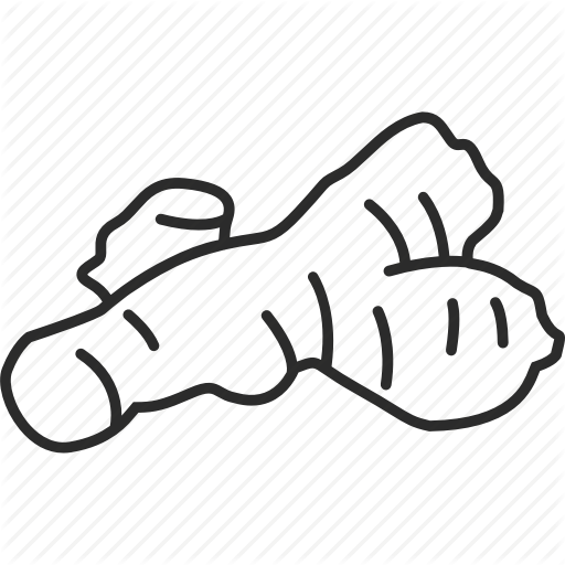 512x512 Ginger Drawing Vegetable Huge Freebie! Download For Powerpoint