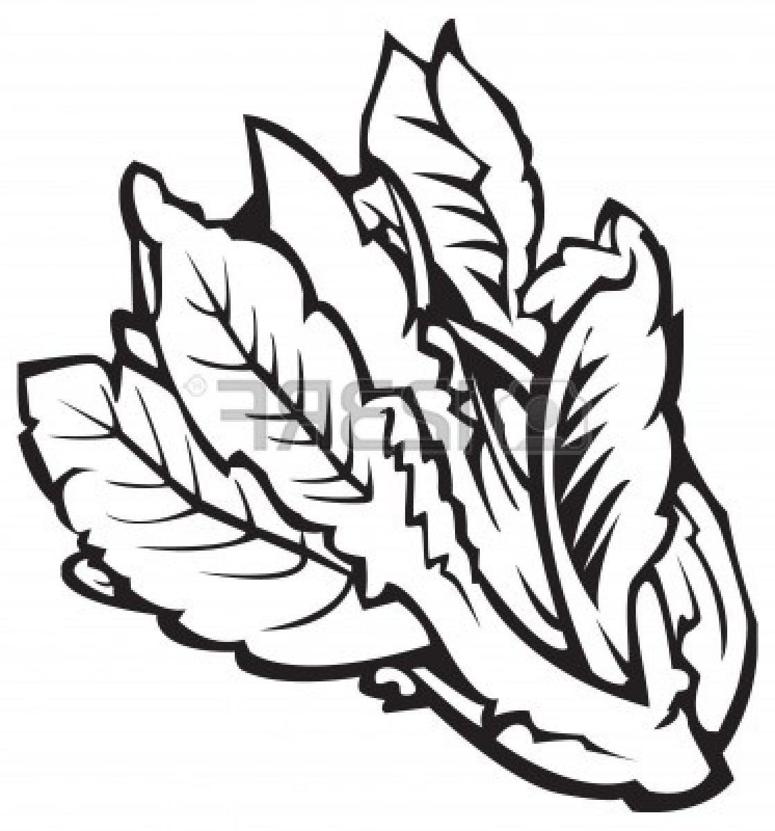 1119x1200 Vegetables Clipart Black And White