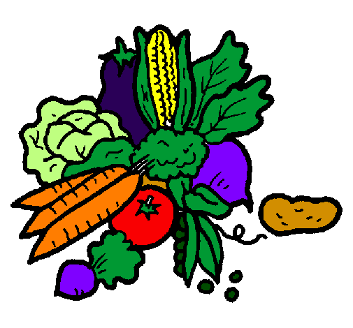505x470 Drawing, Vegetable, Flower, Transparent Png Image Clipart Free