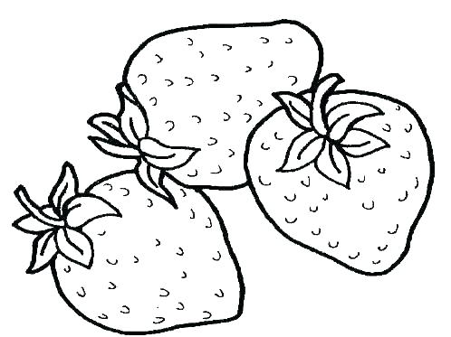 Vegetables Line Drawing | Free download on ClipArtMag