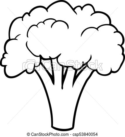 427x470 Line Drawing Of A Broccoli