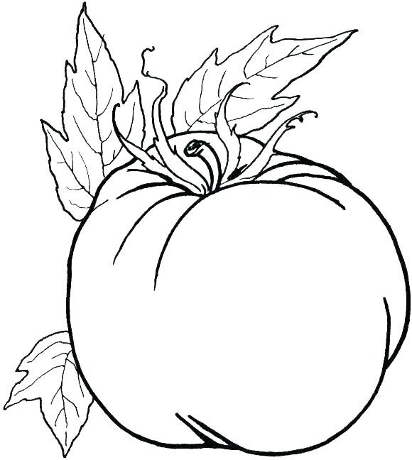 580x648 Tomatoes Coloring Pages Coloring Tomato Category Vegetables Tags