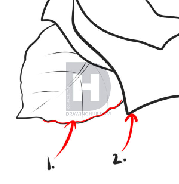 599x617 How To Draw A Realistic Rose, Draw Real Rose, Step