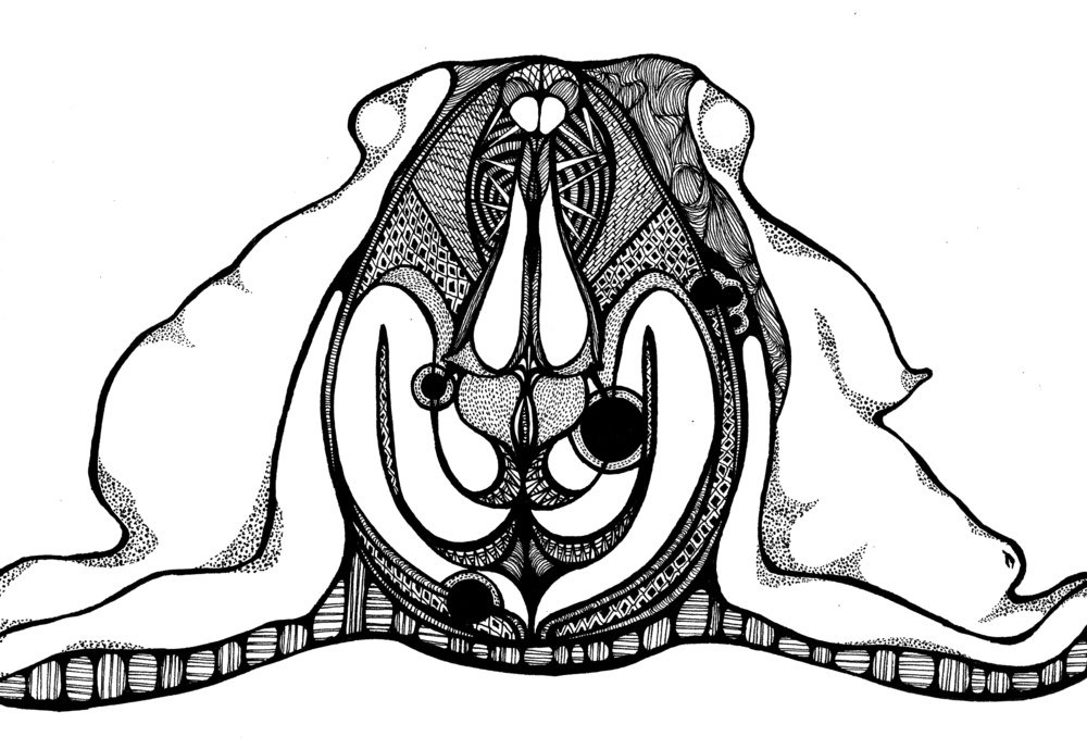 1000x689 Drawings Charlotte Kaye