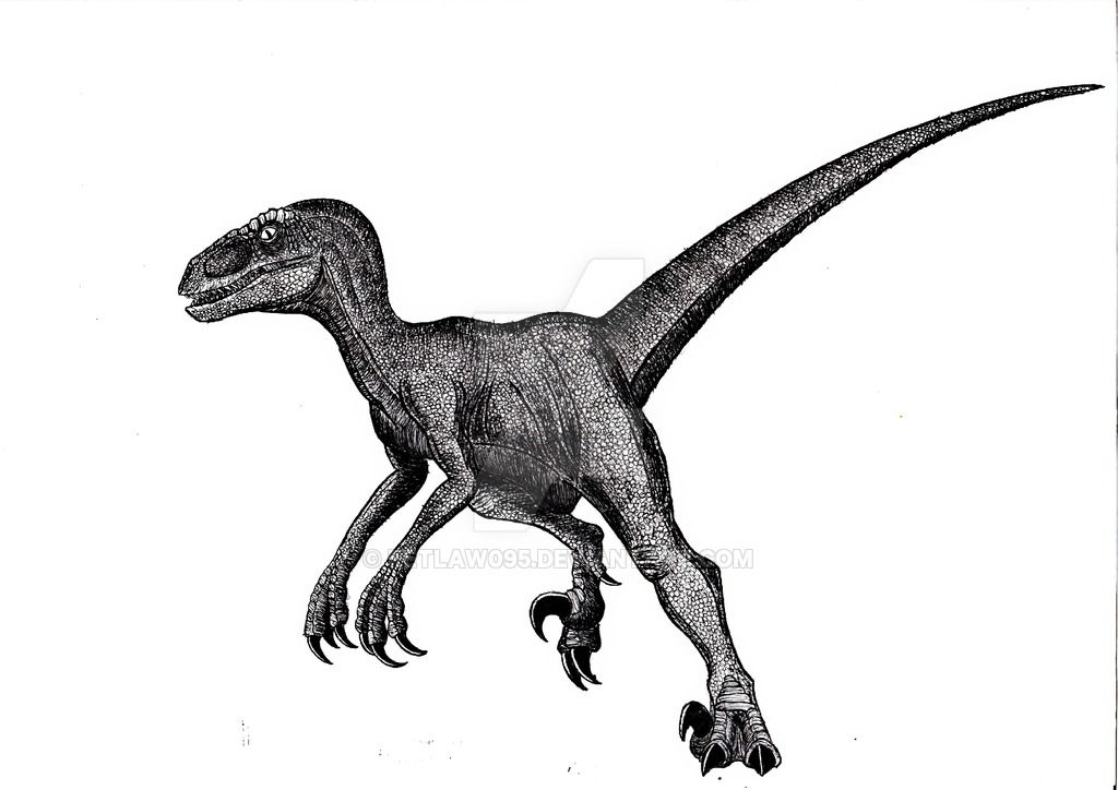 1024x724 Jpeu Velociraptor Bw