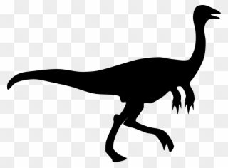 320x236 Velociraptor Dinosaur Silhouette Gallimimus Drawing
