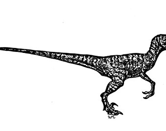 340x270 Velociraptor Drawing Etsy