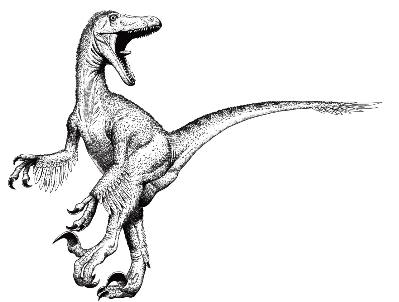 1280x970 Bob Walters Art