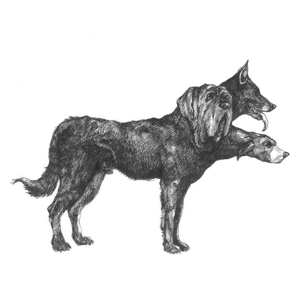 1200x1200 Velvet Marsha Bronson