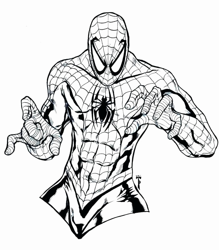 Venom Spiderman Drawing