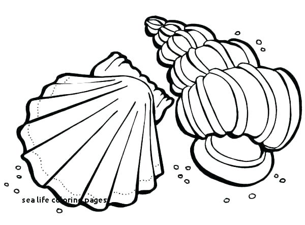 600x442 How To Draw Coloring Pages Coloring Pictures Of Fruits How