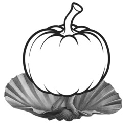 260x260 Woman, Transparent Png Image Clipart Free Download