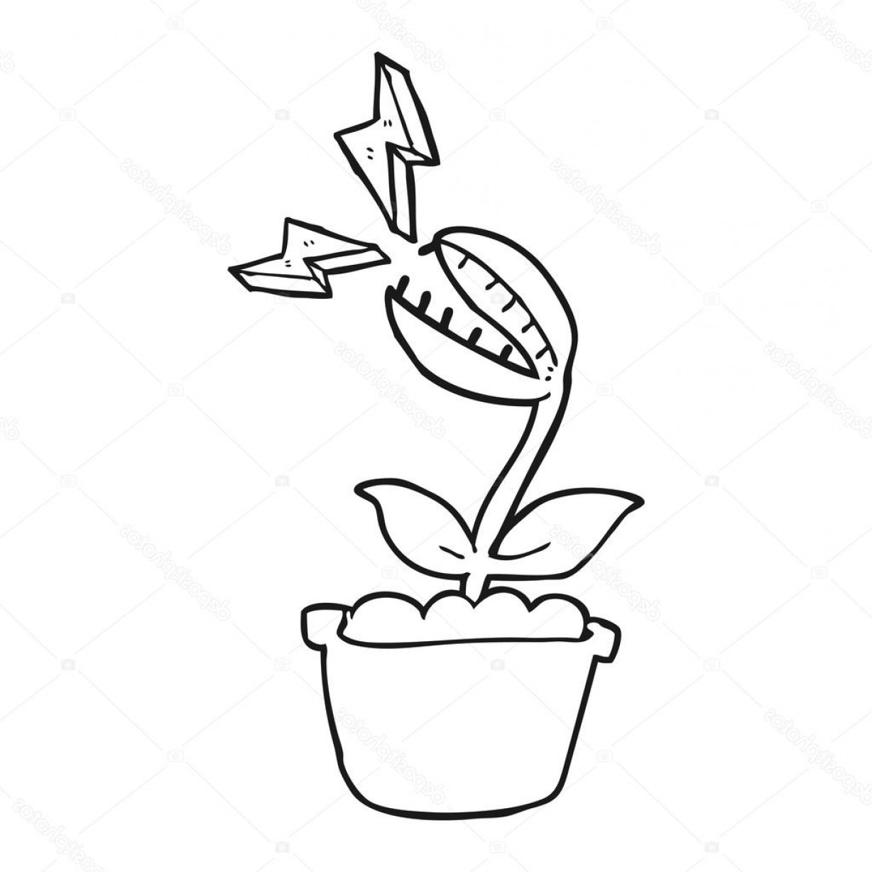 1228x1228 Venus Fly Trap Vector Sohadacouri