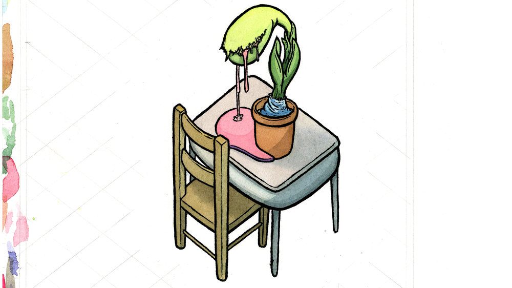 1000x562 How To Draw A Venus Fly Trap Drooling Hot Gum Scott Teplin