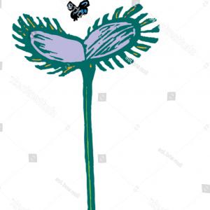 300x300 stock illustration venus flytrap leaf vector draw lazttweet