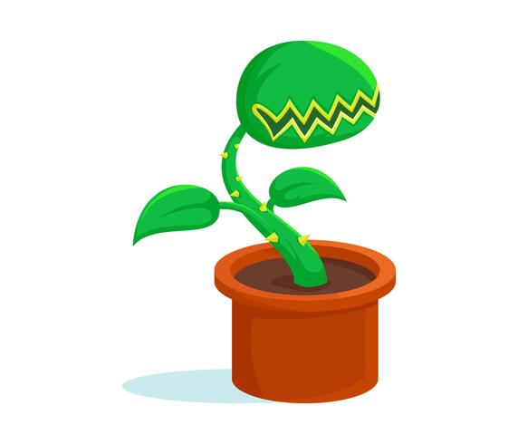 572x490 Unique Venus Fly Trap Vectors