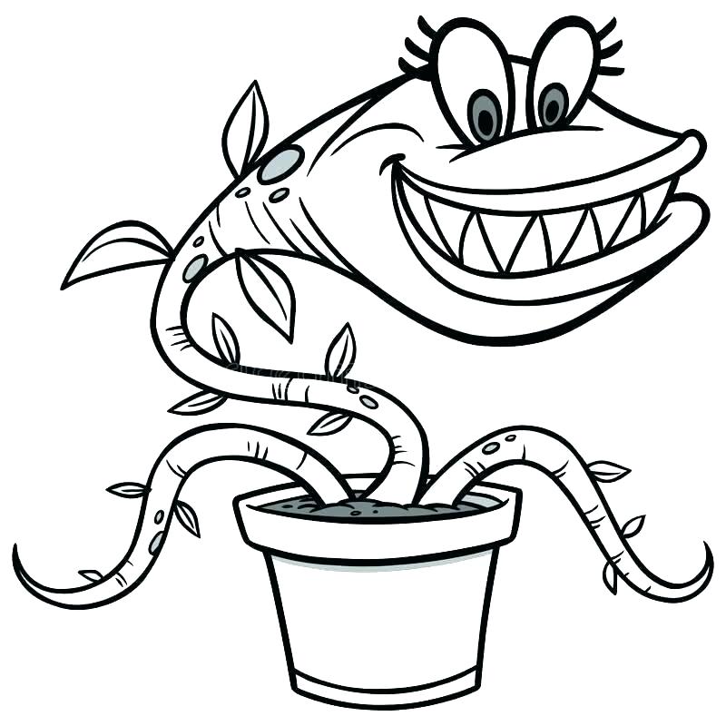 venus-fly-trap-drawing-free-download-on-clipartmag