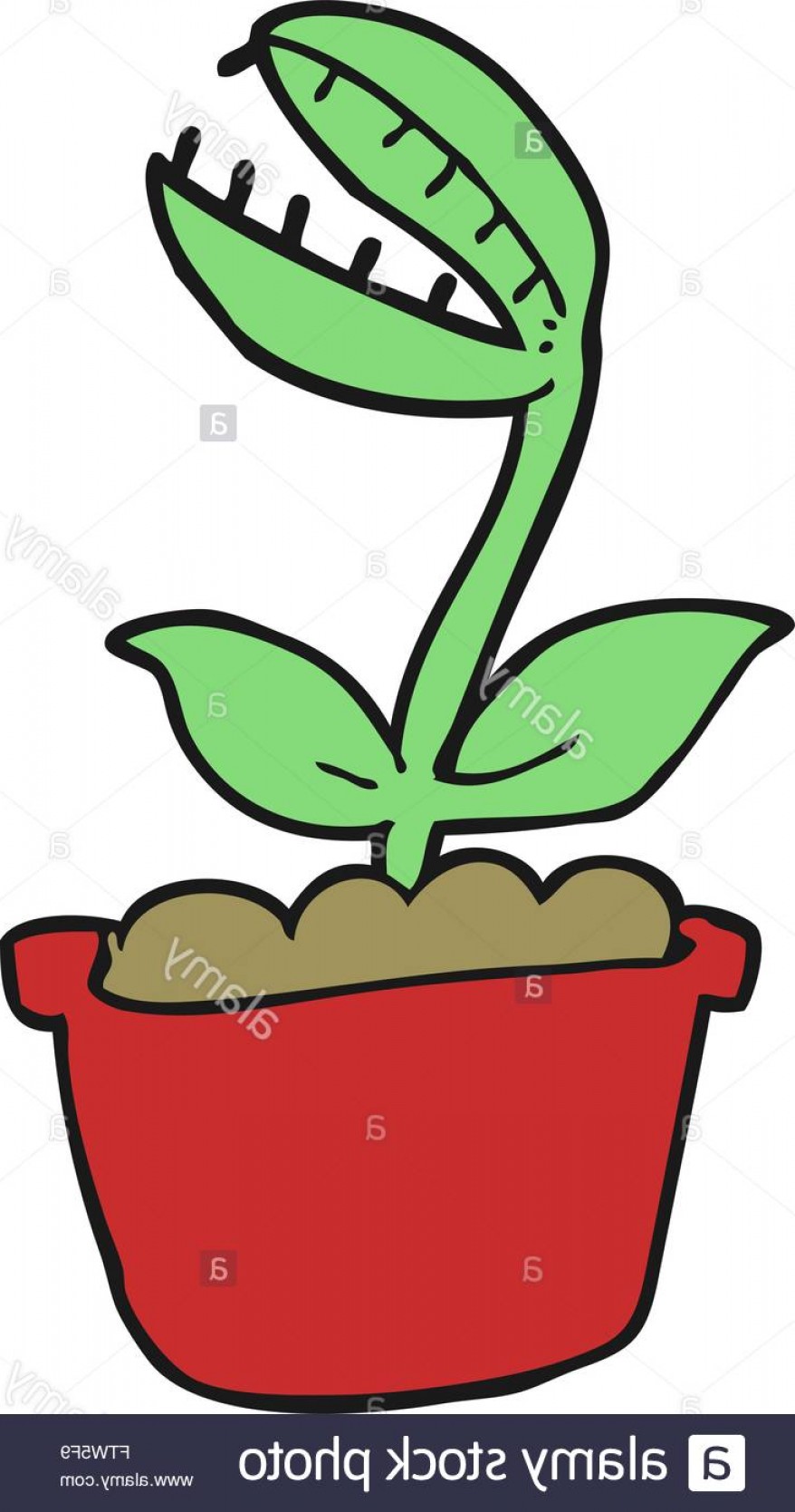 878x1668 Venus Fly Trap Vector Sohadacouri