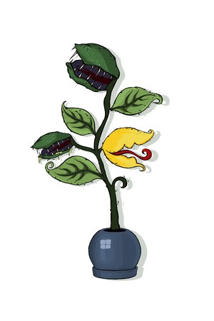 300x450 venus flytrap or dionaea muscipula in the round flowerpot hand