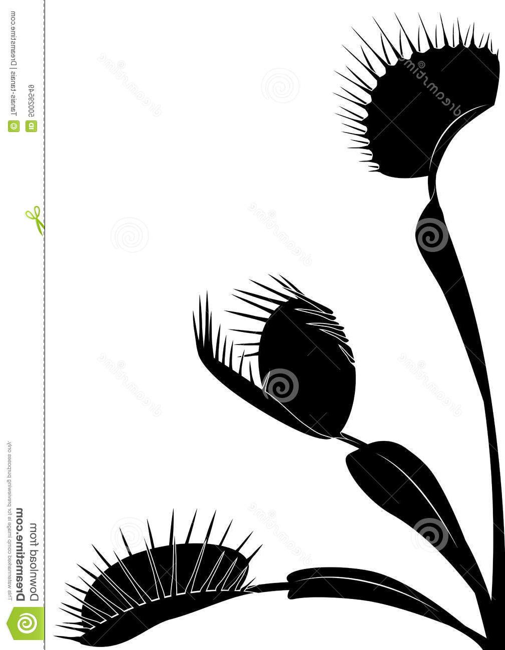 1009x1300 Hd Vector Fly Traps Vector Drawing Free Vector Art, Images