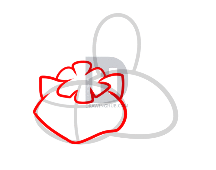 715x563 How To Draw Mega Venusaur, Step