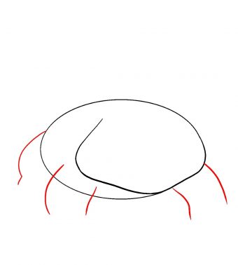 340x378 How To Draw Venusaur Pokemon