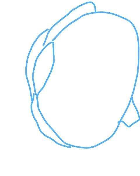 480x600 Draw Neat Diagram Of Vertical Section