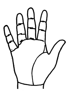 233x310 Vertical Line From Life Line Towards Mount Of Jupiter