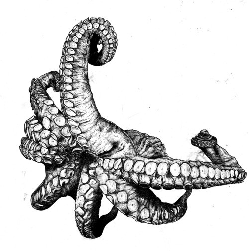 500x503 Charlotte Bolton