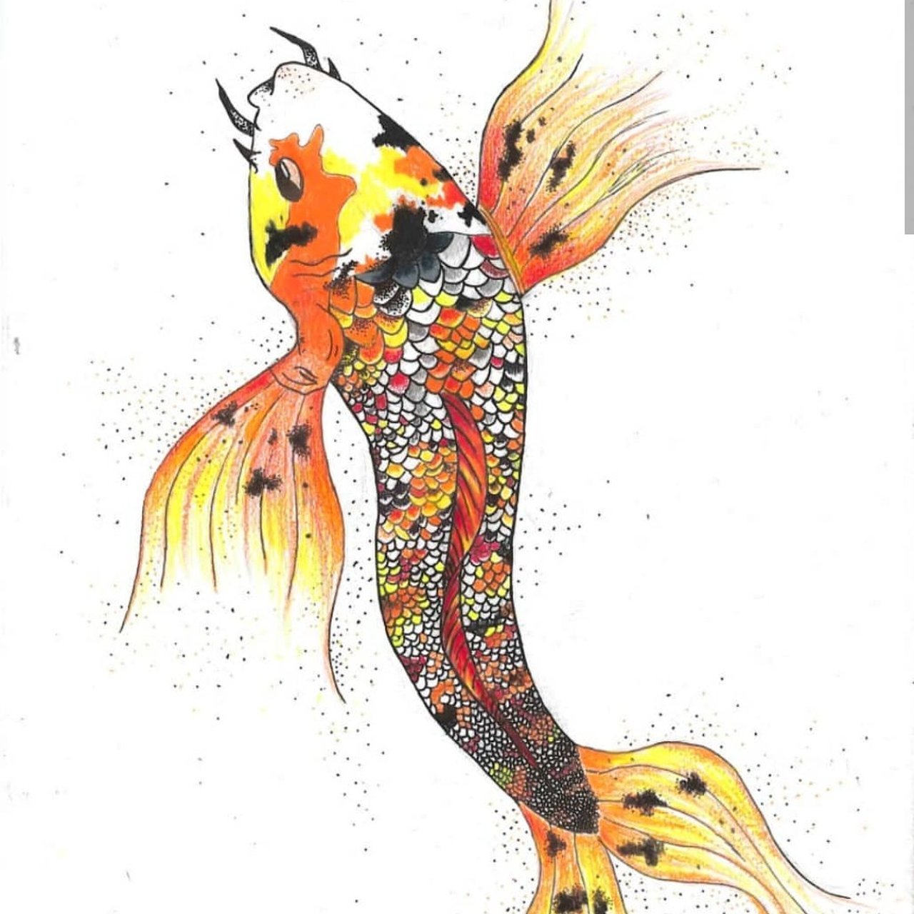 1280x1280 Colourful And Very Detailed Koi Carp Mixed Media Signed