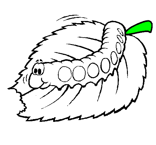 505x470 Butterfly, Worm, Drawing, Transparent Png Image Clipart Free