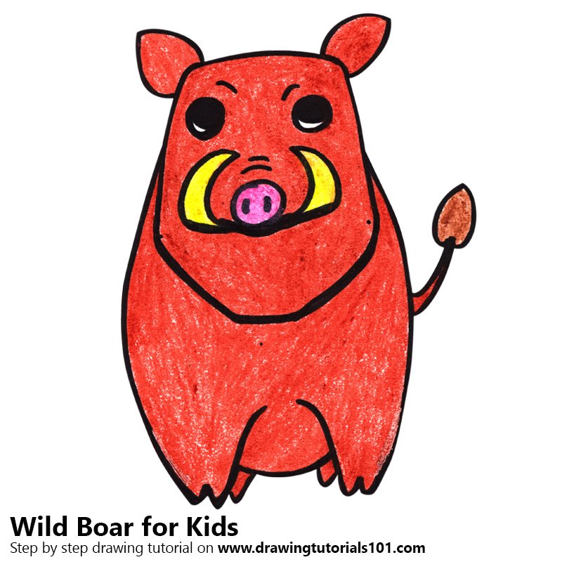 800x800 Learn How To Draw A Wild Boar For Kids Very Easy