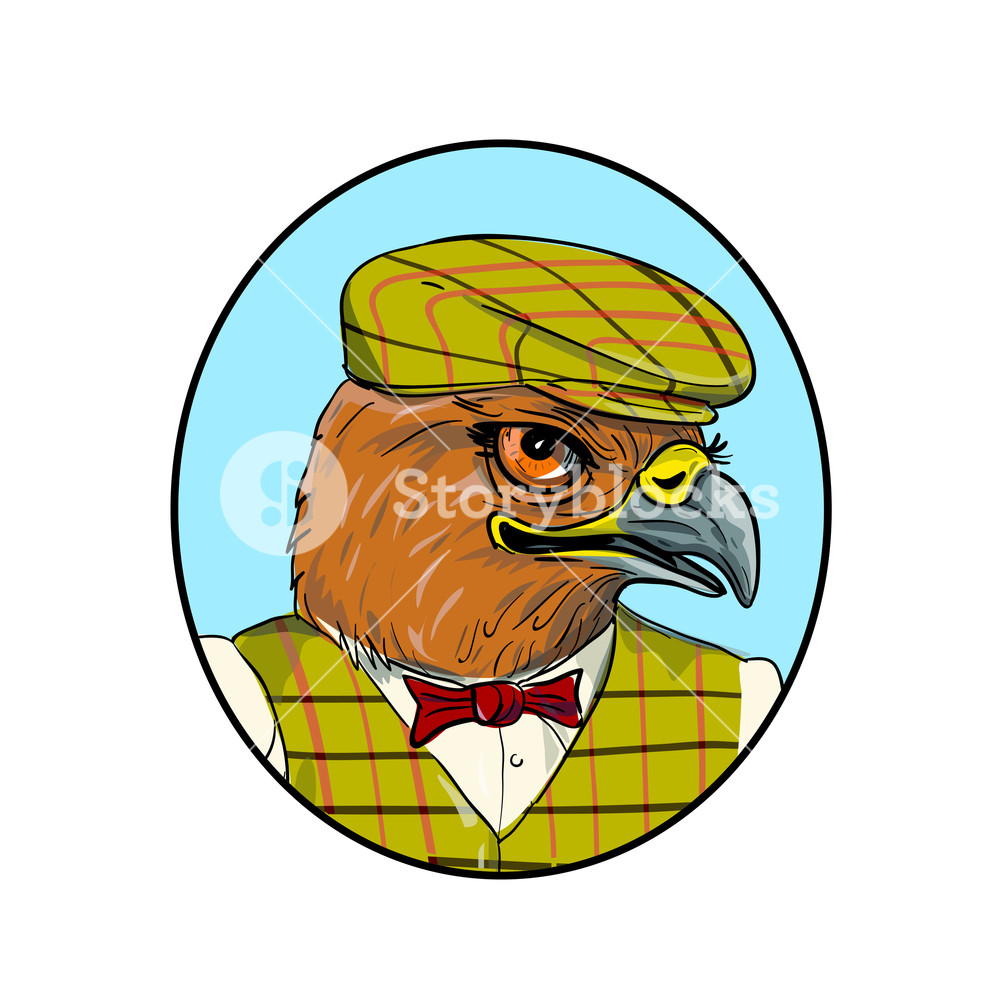 1000x1000 Drawing Sketch Style Illustration Of Head Of A Hawk Or Falcon