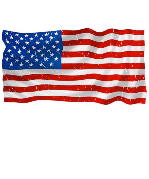 500x600 Veterans Day Drawings Fine Art America