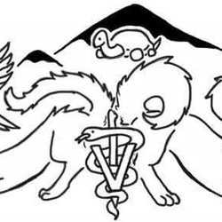 250x250 High Country Veterinary Hospital