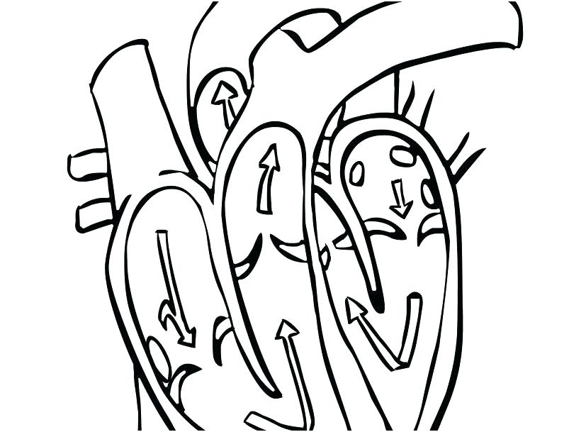 827x609 Vet Printable Coloring Pages Veterinarian Drawing Beautiful