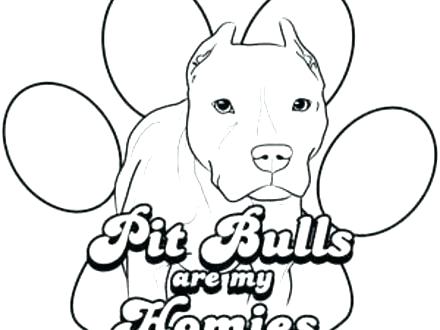 440x330 Pit Bull Coloring Pages